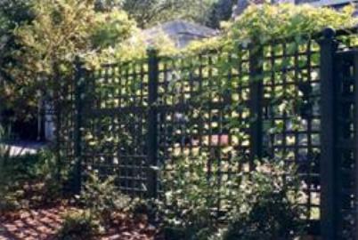 Trellis Garden Fence with Vines
